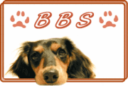 BBS